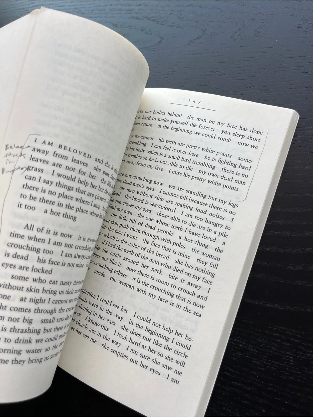 Vintage International Beloved Toni Morrison Paperback Red Book Approx 8 Inch